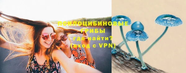 хмурый Наволоки