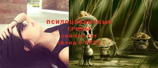 ПСИЛОЦИБИНОВЫЕ ГРИБЫ Навашино