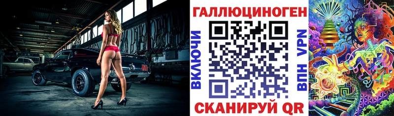 KRAKEN   Сальск  Псилоцибиновые грибы Psilocybine cubensis 