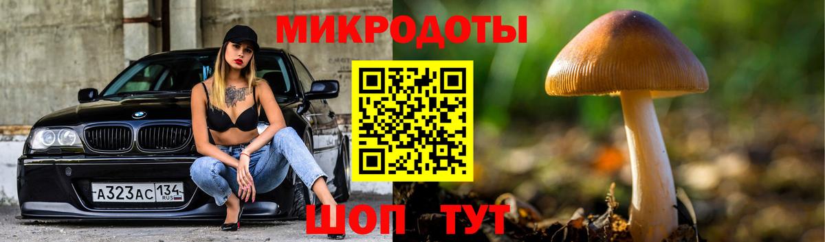 Псилоцибиновые грибы мицелий Сальск